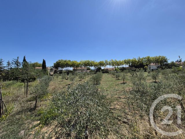 maison à vendre - 5 pièces - 286.34 m2 - AUTIGNAC - 34 - LANGUEDOC-ROUSSILLON - Century 21 Comminges Immobilier